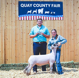 Dowell Show Lambs Winners